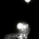 Image for article titled Capturing the Veined Beauty of Lightning